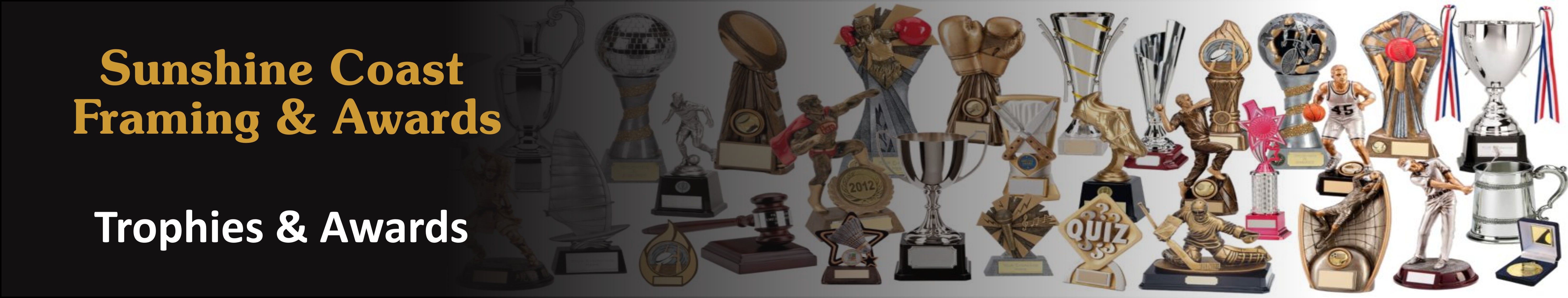 Banner image for Sunshine Coast Framing and Awards